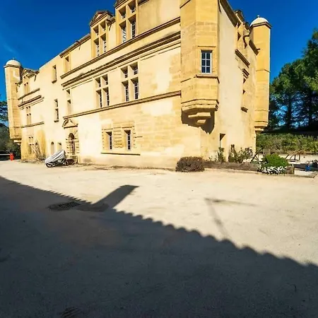 Cosy T2 - Chateau Historique - Terrasse - Parking * Ремулен